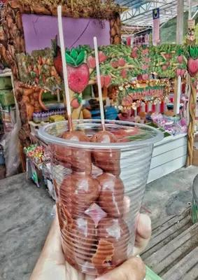 a person holding a plastic cup filled with chocolate covered strawberries at Amy Homestay in Brinchang