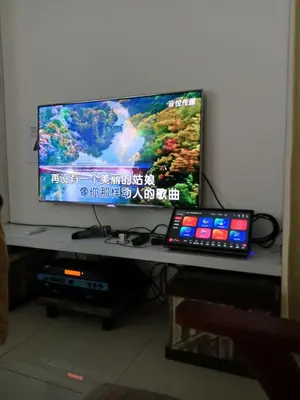 a flat screen tv sitting on a table with a laptop at Penang Balik Pulau Swimming Pool BBQ KTV Homestay in Balik Pulau