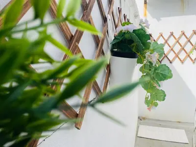 a plant in a white vase on a wall at Georgetown Kyash House 23 in George Town