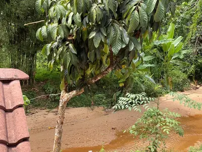 Gallery image of SRI MALAU in Kampong Ulu Bakai