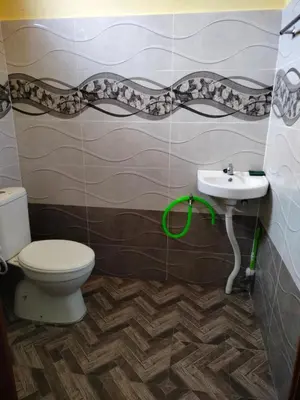 a bathroom with a toilet and a sink at Rizki Homestay Nibong Tebal in Nibung Tebal