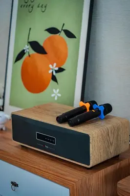 a radio sitting on a shelf with two guns at GARDEN COZY2STOREY HOME 4ROOM 10PAX@NEAR ALMAJUSCO in Bukit Mertajam