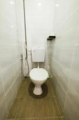 a bathroom with a toilet and a shower at monstera homestay (Lenggong) in Kampong Ulu Jepai