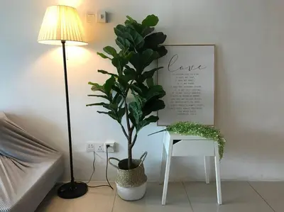 a plant in a pot next to a table and a lamp at 34zer0 Kinta Riverfront Suites 6pax in Ipoh