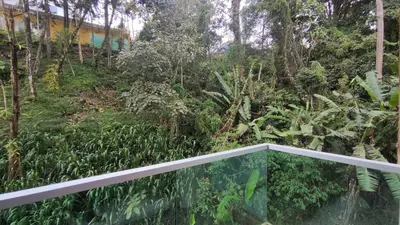 a balcony with a view of a forest at A ONE Holiday Apartment-Quintet in Cameron Highlands