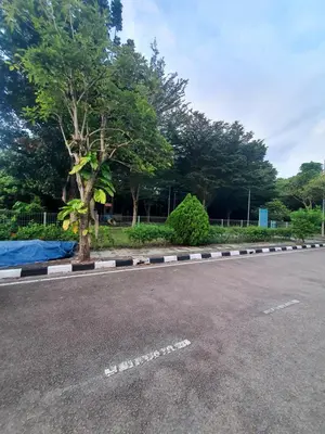 an empty road with a tree on the side of the road at Homestay Pohon Rendang in Balik Pulau