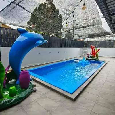 Ocean Private Pool Homestay Ipoh 海洋风情泳池民宿 14px（Wellsonhome）
