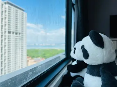 a stuffed panda bear sitting on a window sill at New Comfy Urban Suite Homestay at Georgetown for family by Urban Staycations LOD COSY in Jelutong