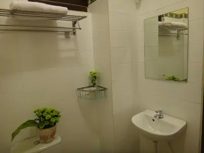 a bathroom with a sink and a toilet and a mirror at Betel Nut Lodge in George Town
