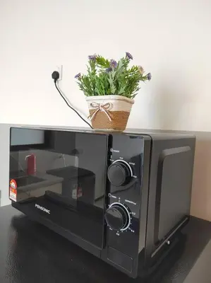 a black microwave with a plant on top of it at Seaview Infinity Pool #6pax #2bedroom #2bathroom in Jelutong