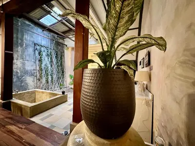a plant in a large vase in a room at (New) Eternal Granpa’s heritage(UNESCO)/11pax/3BR in George Town