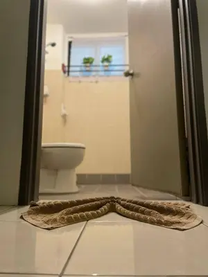 a rug on the floor of a bathroom with a toilet at Pangkor BeachWalk Studio in Pangkor