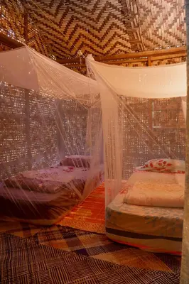 two beds in a room with mosquito netting at Rain Forest Inn in Ringlet