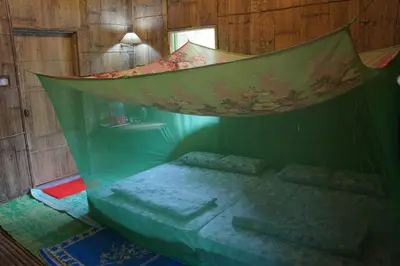 a green room with a bed and a mirror at Rain Forest Inn in Ringlet