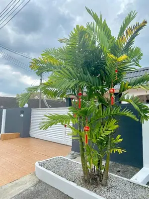 a palm tree with red lights on a balcony at IPOH LYL EVERGREEN HOMESTAY 12pax in Ipoh