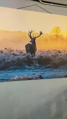 a painting of a deer walking through the water at Kitty Home Near to Penang Hill in Ayer Itam