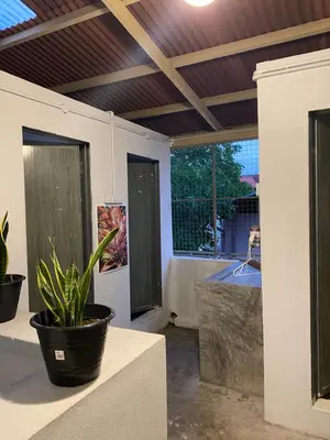 a patio with two windows and a potted plant at Rope Walk Guest House in George Town