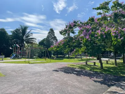 a park with a playground and a tree with purple flowers at D' Permata Homestay Kulim in Kulim