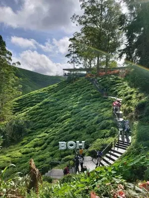 a group of people walking up a hill with a sign at ALEESYA Homestay at Emerald Avenue Brinchang in Brinchang