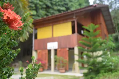 a small house with a yellow and brown at Country house Pulai Holiday Village in Gua Musang
