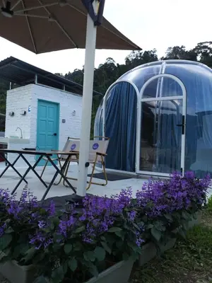 a dome tent with purple flowers in front of it at The Starry Dome Family Room 2A 2K in Cameron Highlands