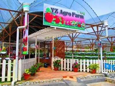 an apple farm with a sign and a fence at Hillside cottage chalet studio in Tanah Rata