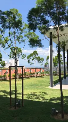 two trees in a park with a building in the background at Luxury Seaview Private Elevator Near Island Hospital and Gurney plaza \u68b9\u57ce\u65e0\u654c\u6d77\u666f\u79c1\u4eba\u7535\u68af\u9760\u8fd1\u533b\u9662\u548c\u5546\u573a in Tanjong Tokong
