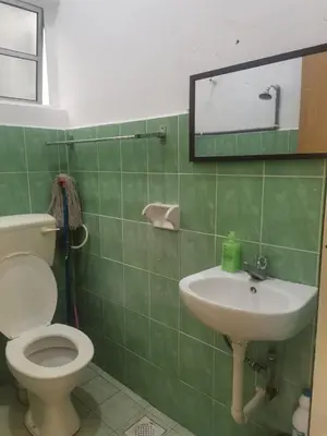 a bathroom with a toilet and a sink at Jalinan Qaseh Homestay in Seri Manjung