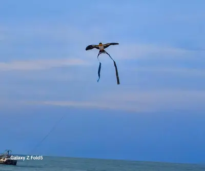 a kite flying in the sky over the ocean at By The Sea Deluxe Condo @ Batu Ferringhi Penang in Batu Ferringhi