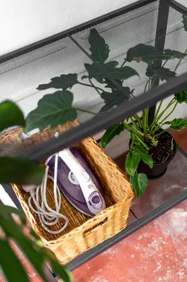 a table with a basket with plants on it at Caryn Vintage Guesthouse in George Town