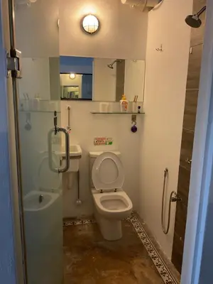 a bathroom with a toilet and a sink and a shower at Homs Female Hostel in George Town