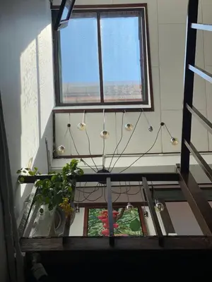 a room with a potted plant and a window at Homs Female Hostel in George Town