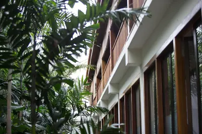 a row of windows on a building with plants at Muntri Grove in George Town