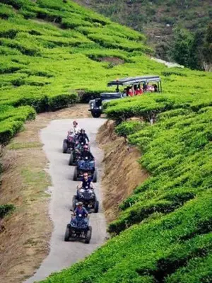 a group of people riding motorcycles down a road at Hillside cottage reflesia room in Tanah Rata