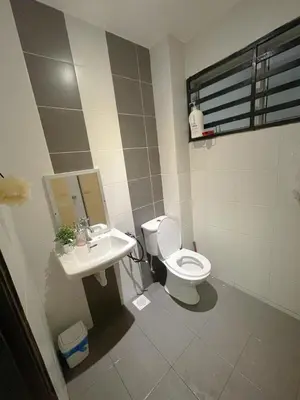 a bathroom with a toilet and a sink at Zara Cozy Homestay in Seri Iskandar