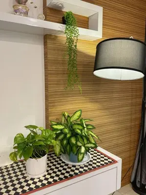 two potted plants sitting on a table next to a lamp at TeaValleyView & FarmView - 3BR Cool Summer Cameron in Cameron Highlands