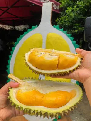a person holding two halves of a durian at skyview relax 2BR 1car park arenaspice airport domestic guest only in Bayan Lepas