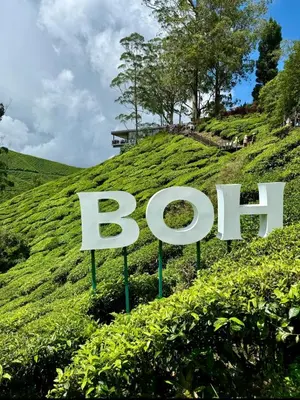 a sign in a field of green grass with the word ben at Mizu Homestay Kea Farm 10mins to BOH in Cameron Highlands