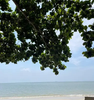 Gallery image of Beach side Cozy Bungalow in Tanjung Bungah