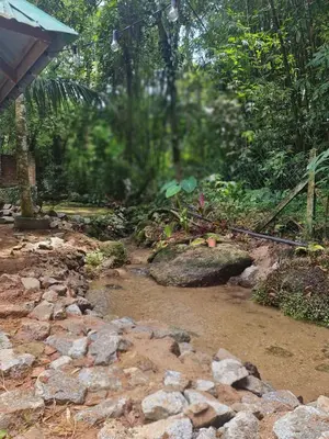 a creek in the middle of a forest with rocks at Zue Rra Hidden Retreat in Kampong Kuala Chegar