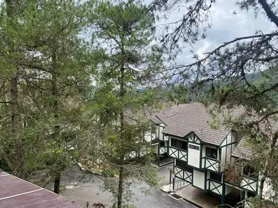 a green and white house with trees in the foreground at Brinchang Cameron 2R2B 10 paxs Copthorne KeaFarm #15407 in Brinchang