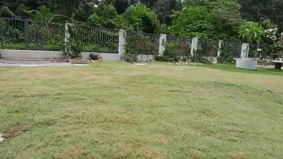 a child laying in a yard next to a fence at SimpleHome in Tupai