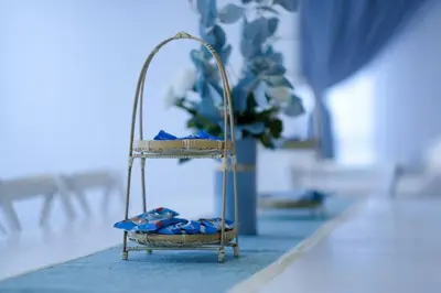 a rack with blue shoes on it with a plant at Tung's Hideout- Centrum Cameron in Brinchang