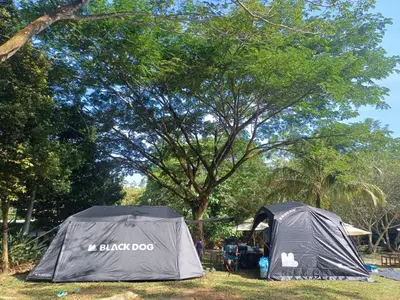 two tents sitting in the grass under a tree at Lemuni Retreat & Training Centre - Kerling, Selangor in Kerling