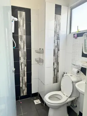a bathroom with a toilet and a sink at AYAAN LAVISH HOMESTAY with FREE WiFi in Tanah Rata
