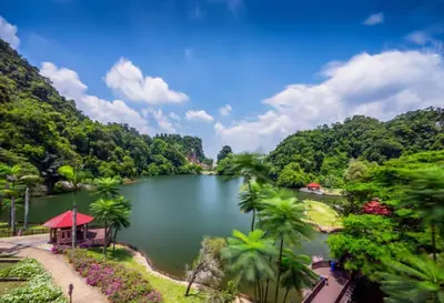 a lake in the middle of a forest with palm trees at Kinta Valley Retreat in Kampong Tamboh