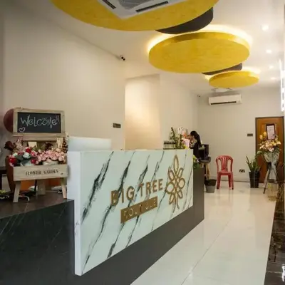 Big Tree Boutique