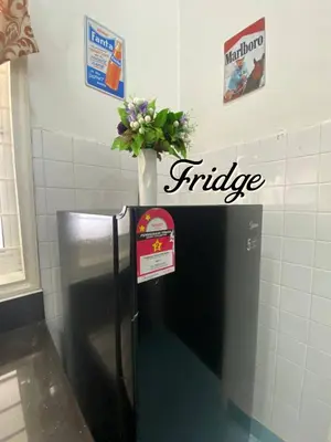 a refrigerator with a vase of flowers on top of it at Bergstein Taiping in Taiping