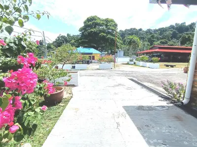 a walkway with flowers and a building in the background at Collection O Analisa Beach Resort in Pangkor