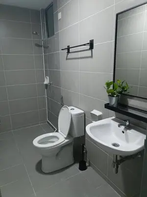 a bathroom with a toilet and a sink at Homestay D'sasz Meru Ipoh in Ipoh